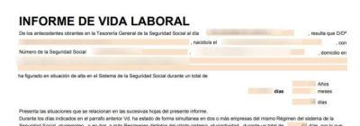 vida-laboral