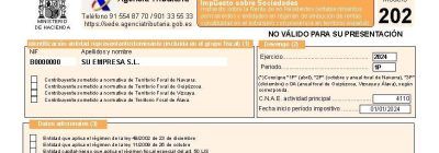 Modelo-202