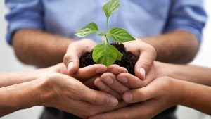 aportación de socios