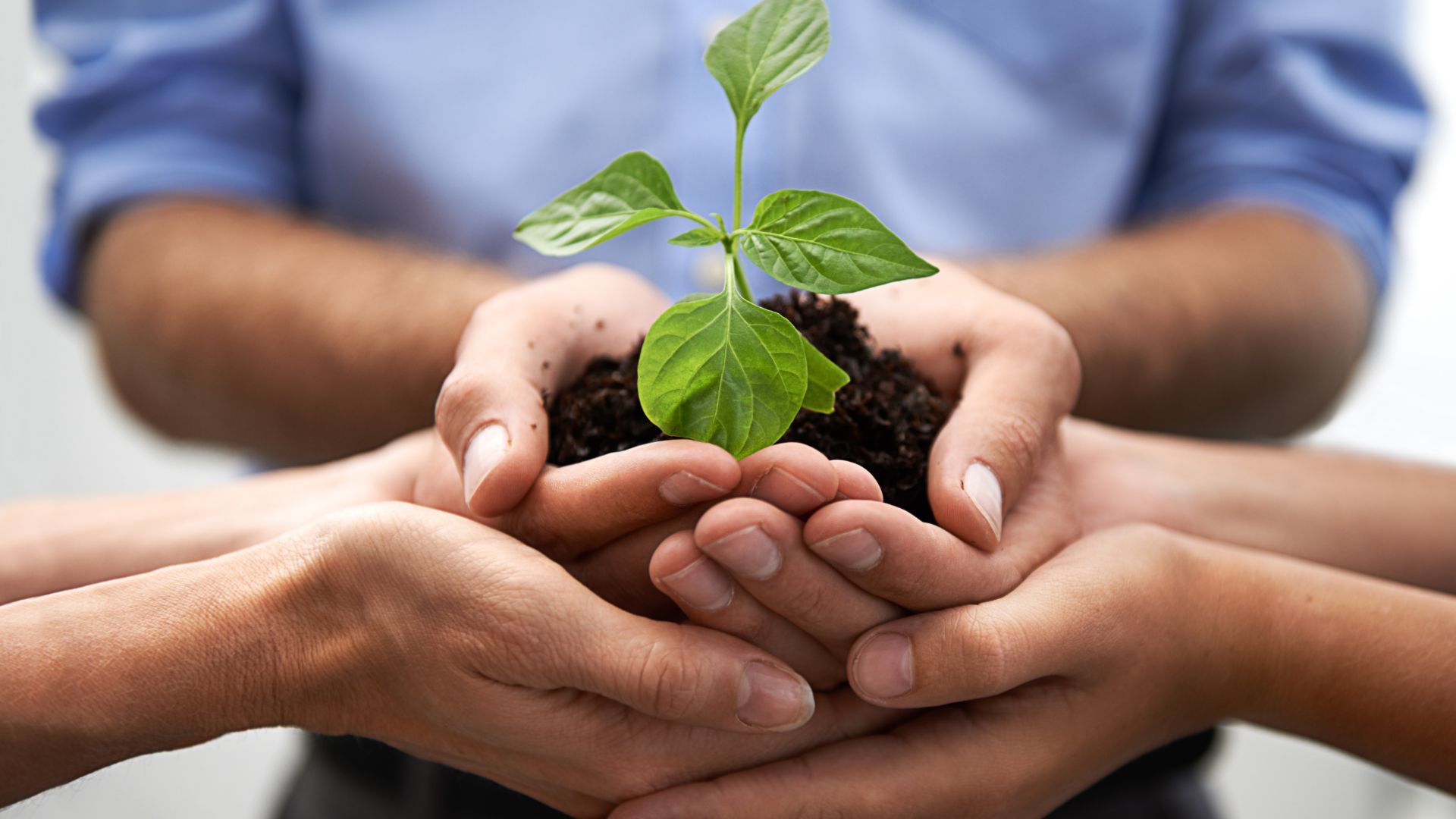 aportación de socios